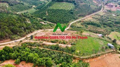 Bán quả đồi có thổ cư giá đầu tư