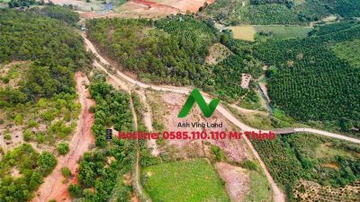 Bán quả đồi có thổ cư giá đầu tư