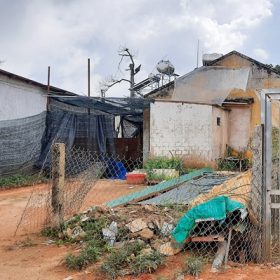 Đà Lạt: Những người giữ rừng làm nhà ở …trên đất rừng ?