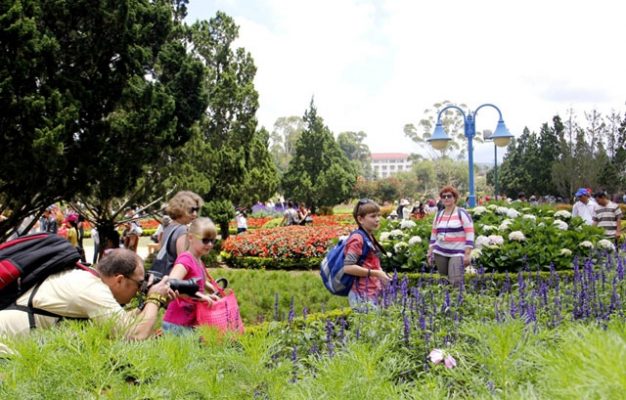 lam-dong-huong-loi-tu-nhung-du-an-lon