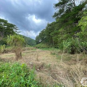 Bất động sản Đà Lạt: người trong tháo chạy, người ngoài săn lùng