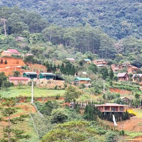 Chỉ đạo mới nhất của Lâm Đồng về việc chấp thuận các dự án mới liên quan đến rừng, đất lâm nghiệp