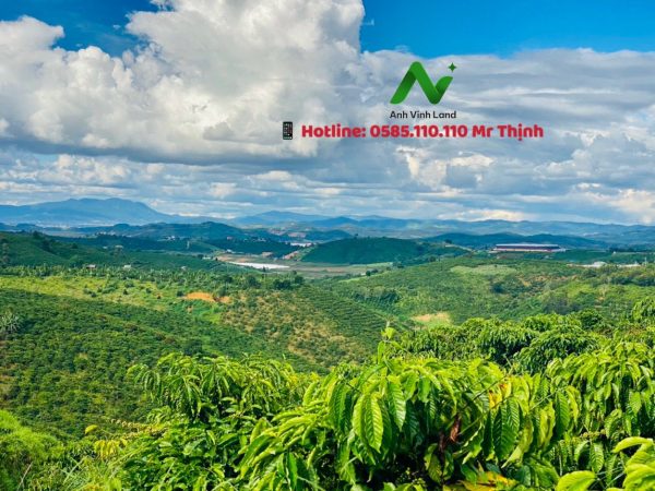 ban-4-8ha-dat-nong-nghiep-view-ho-dai-ninh-gia-re-290-trieu-1000m2