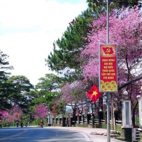 Tân Hoàng Minh ‘im lìm’ sau khi được Lâm Đồng chấp thuận chủ trương tài trợ lập ý tưởng quy hoạch khu vực hơn 4.000 ha