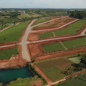 Lâm Đồng siết chặt điều kiện tách thửa khiến người dân gặp khó