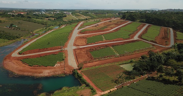 lam-dong-siet-chat-dieu-kien-tach-thua-khien-nguoi-dan-gap-kho