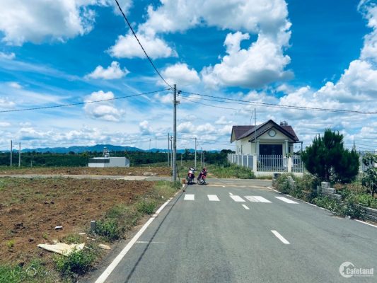 giao-dich-nha-dat-tai-lam-dong-van-dang-dien-bien-rat-soi-dong