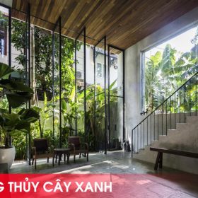 Lưu ý về phong thủy cây xanh