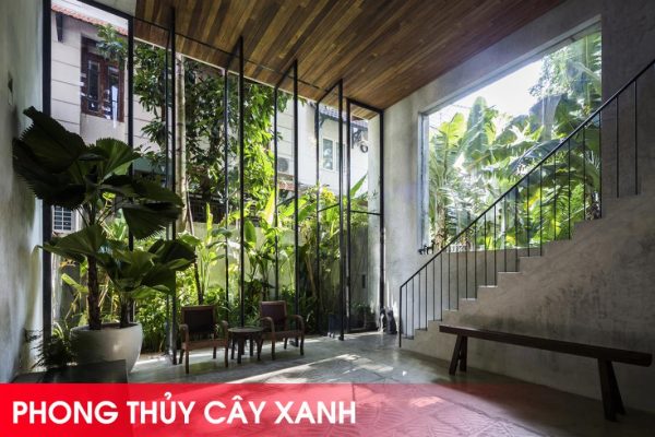 luu-y-ve-phong-thuy-cay-xanh