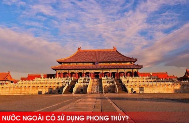 cay-neu-ngay-tet-co-y-nghia-gi
