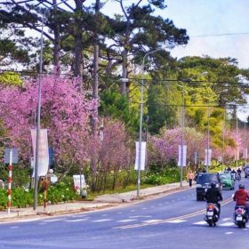 Đô thị trục di sản Đông – Tây thành phố Đà Lạt có gì đặc biệt?