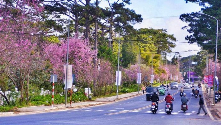 do-thi-truc-di-san-dong-tay-thanh-pho-da-lat-co-gi-dac-biet