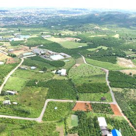 Một số địa phương ở Lâm Đồng cho phép chuyển mục đích sử dụng đất trở lại,… sau một thời gian ngắn tạm dừng