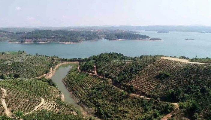 lam-dong-khong-thong-nhat-voi-de-xuat-dau-tu-du-an-khu-do-thi-hon-13-000-ty-dong-cua-tap-doan-flc