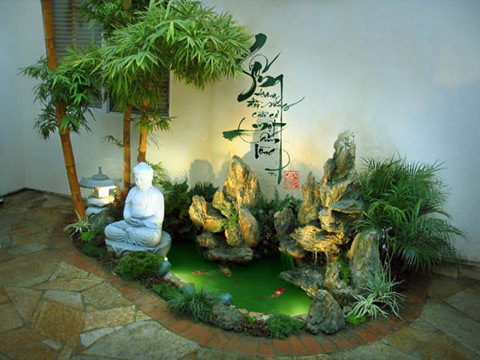 be-ca-canh-mang-y-nghia-tot-lanh