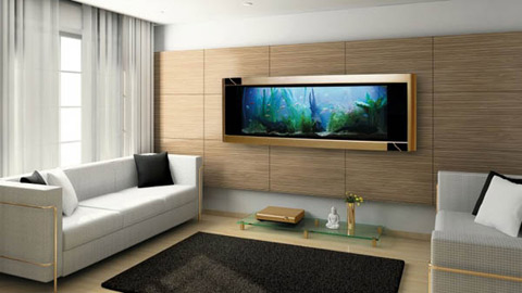 be-ca-canh-mang-y-nghia-tot-lanh