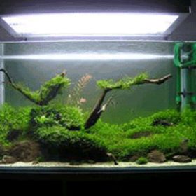 Làm mát văn phòng với thuỷ mộc