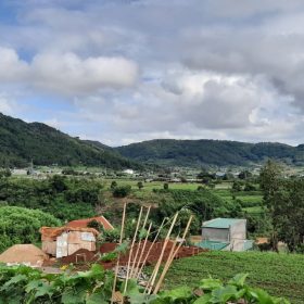 Tân Thành Holdings tiếp tục đề xuất hai dự án hơn 700ha tại Lâm Đồng