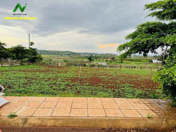 BÁN SỈ GIÁ F0. ĐẤT NGAY TRUNG TÂM HÀNH CHÍNH MỚI & SÂN BAY LIÊN KHƯƠNG - HUYỆN ĐỨC TRỌNG